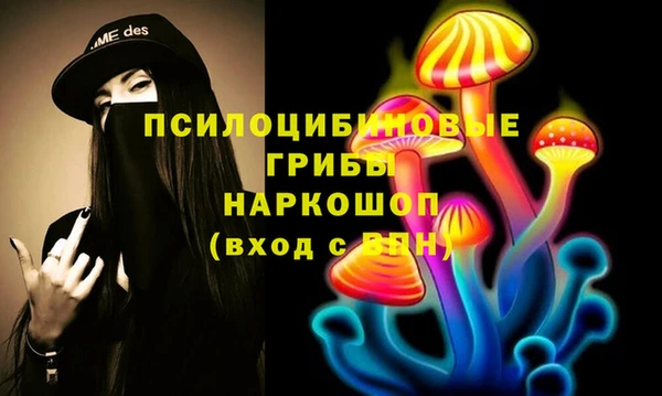 гашик Балахна