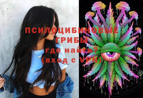 гашик Балахна